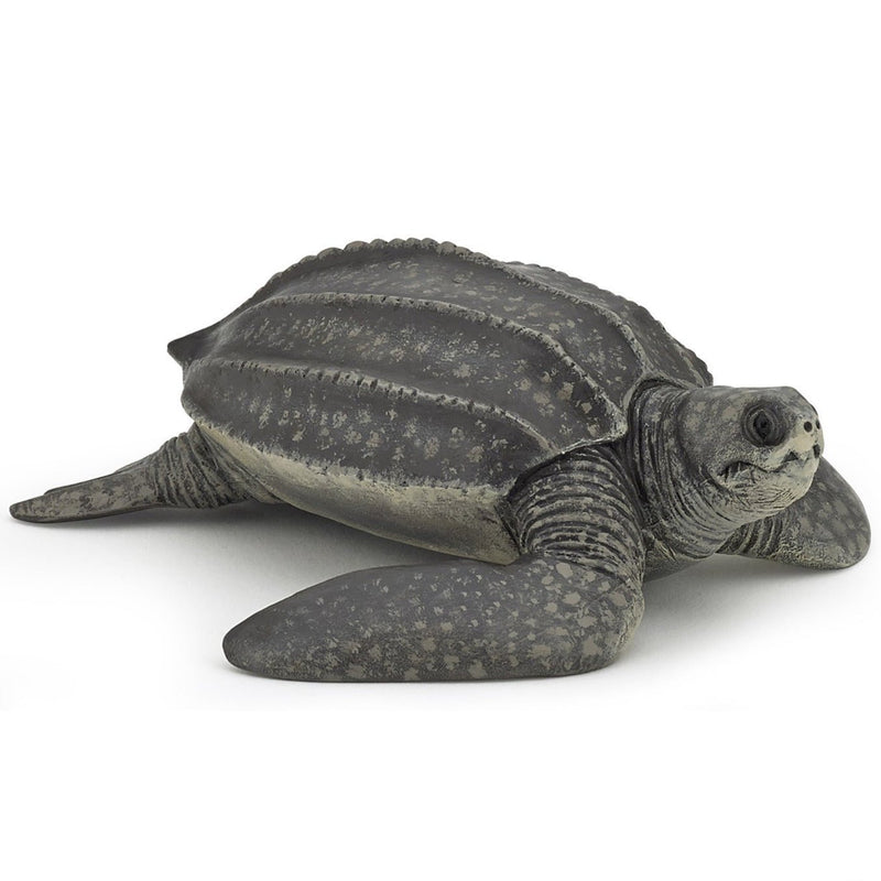 Lederschildpad - Speeldieren Papo - In den Olifant