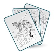 Lichtgevend tekentablet Kidydraw - Pad 8+ - Kleuren en tekenen Kidywolf - In den Olifant