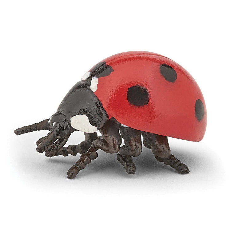 Lieveheersbeestje - Speelfiguren Papo - In den Olifant