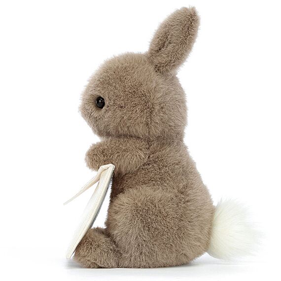 Knuffel Konijn Met Envelop Messenger Bunny | 19 Cm