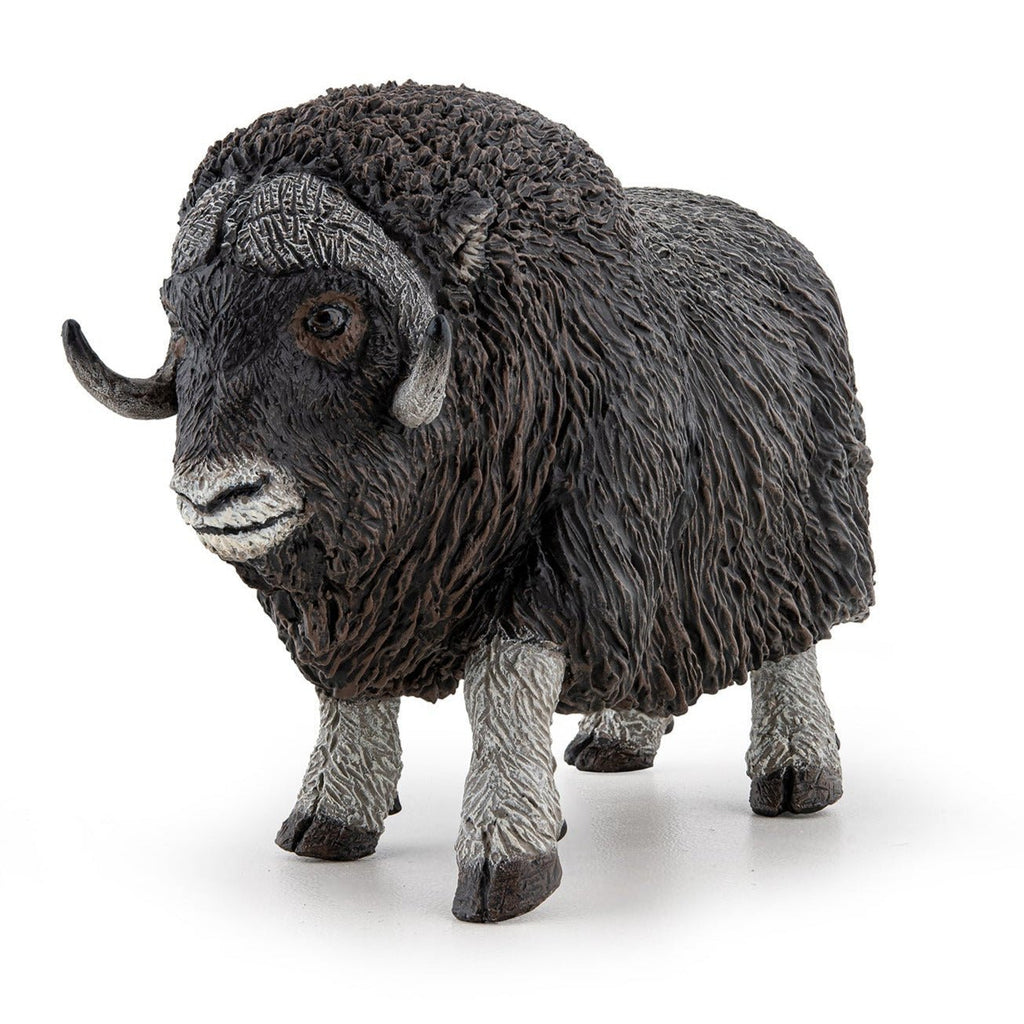 Muskusos - Speeldieren Papo - In den Olifant