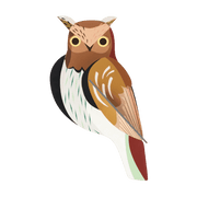 Muurdeco Garden Bird - Tawny Owl - Muurdecoratie Studio Roof - In den Olifant