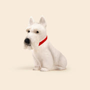 Nachtlamp Hond Scotty - 39 cm - Nachtlampjes Egmont Toys - In den Olifant