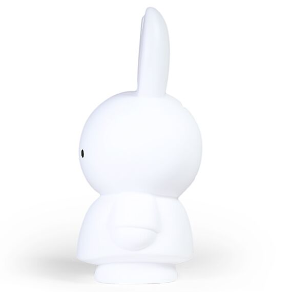 NIJNTJE PUUR SPAARPOT | H26 Ø14 CM - Spaarpotten AP Junior - In den Olifant