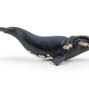 Noordkaper - Speeldieren Papo - In den Olifant