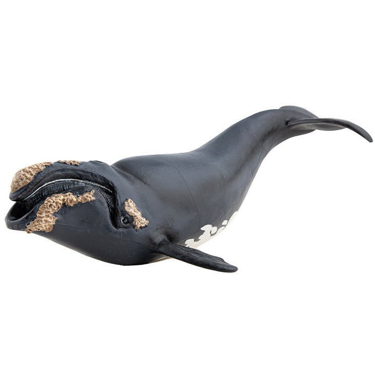 Noordkaper - Speeldieren Papo - In den Olifant