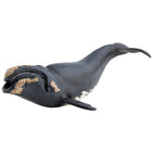 Noordkaper - Speeldieren Papo - In den Olifant