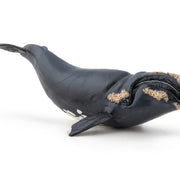 Noordkaper - Speeldieren Papo - In den Olifant