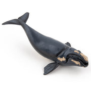 Noordkaper - Speeldieren Papo - In den Olifant