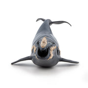 Noordkaper - Speeldieren Papo - In den Olifant