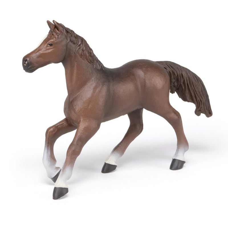 Paard Anglo - Arabier Merrie - Speelfiguren Papo - In den Olifant