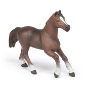 Paard Anglo - Arabier Merrie - Speelfiguren Papo - In den Olifant