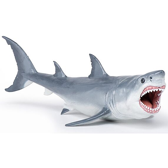 Megalodon