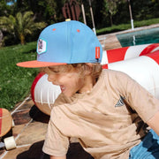 Pet Hot Dog - Petten & mutsen Hello Hossy - In den Olifant