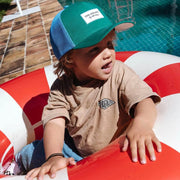 Pet Mini Lawn - Petten & mutsen Hello Hossy - In den Olifant