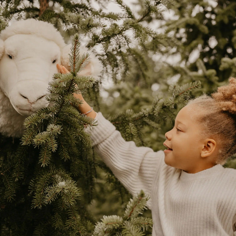 Pluche Dierenhoofd Schaap - Harry - Muurdecoratie Wild & Soft - In den Olifant