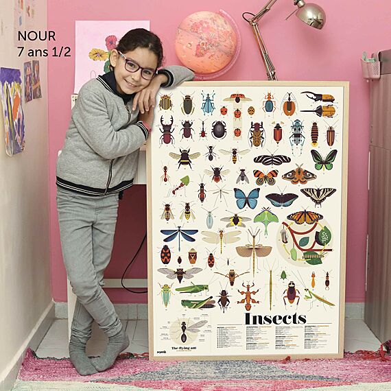 Educatieve Xxl Poster + 44 Stickers Insect | 6-12 Jaar