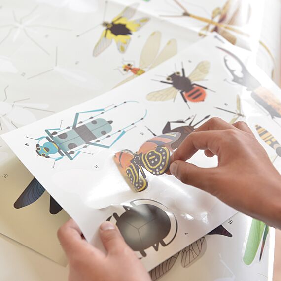 Educatieve Xxl Poster + 44 Stickers Insect | 6-12 Jaar