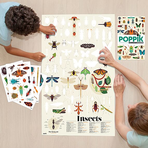 Educatieve Xxl Poster + 44 Stickers Insect | 6-12 Jaar