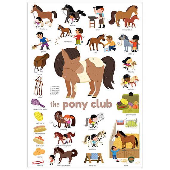 Mini Discovery Poster + 27 Stickers Pony Club | 3-8 Jaar