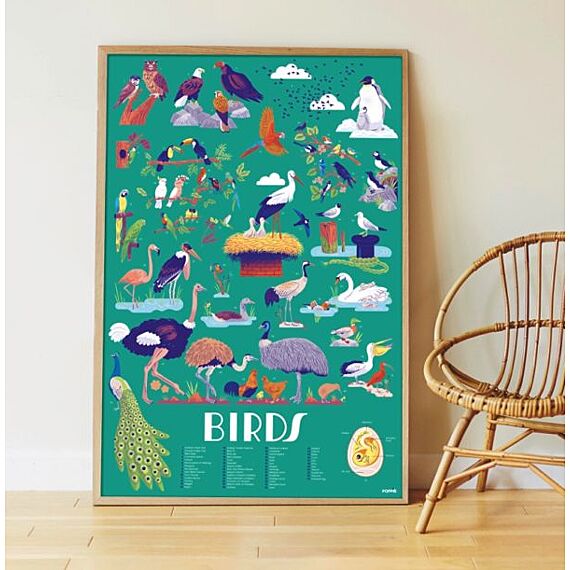 Educatieve Xxl Poster + 640 Stickers Birds | 6-12 Jaar