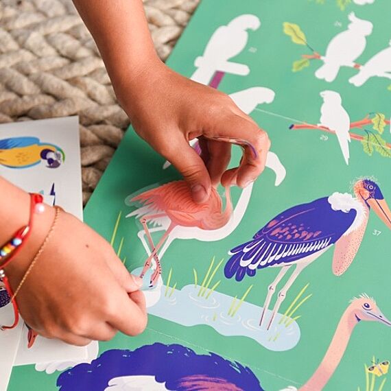 Educatieve Xxl Poster + 640 Stickers Birds | 6-12 Jaar