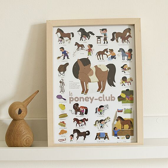 Mini Discovery Poster + 27 Stickers Pony Club | 3-8 Jaar