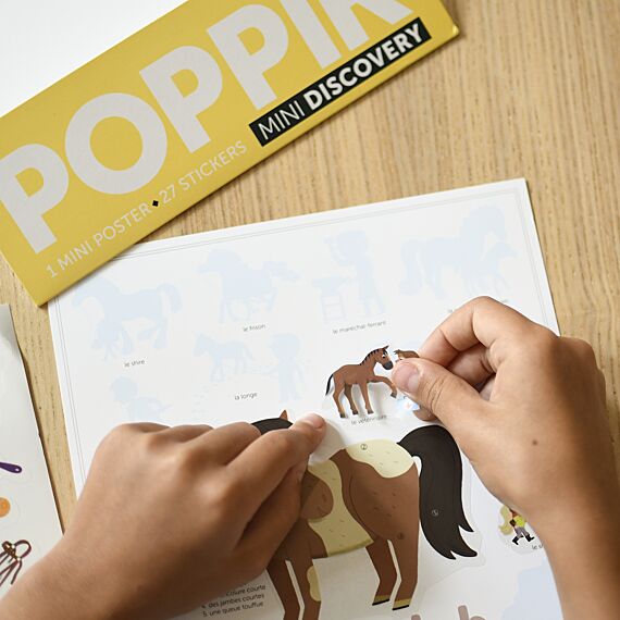 Mini Discovery Poster + 27 Stickers Pony Club | 3-8 Jaar