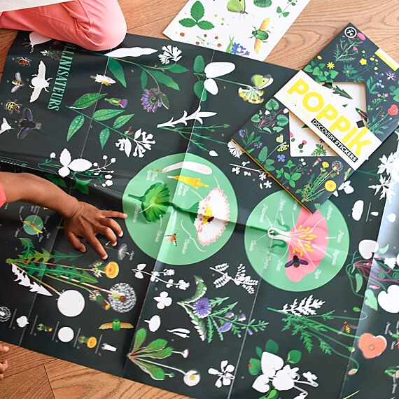 Educatieve Xxl Poster + 51 Stickers Botanic | 7-12 Jaar