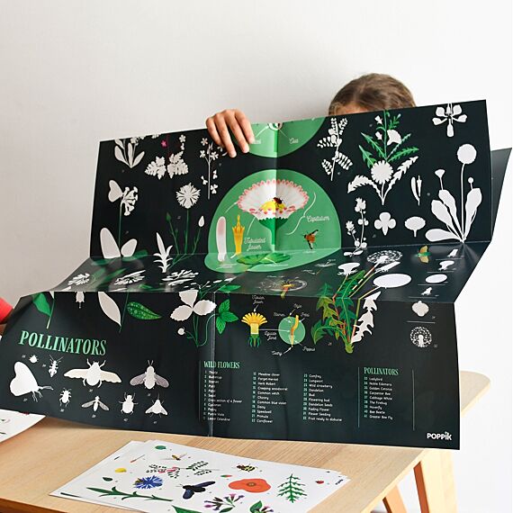 Educatieve Xxl Poster + 51 Stickers Botanic | 7-12 Jaar