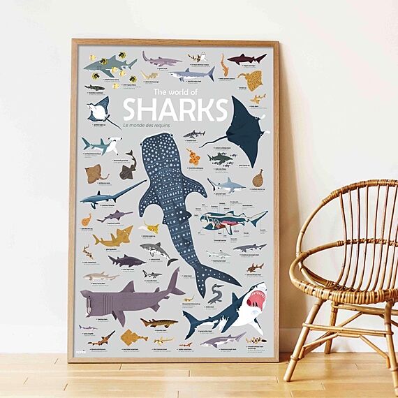 Educatieve Xxl Poster + 45 Stickers Sharks | 6-12 Jaar