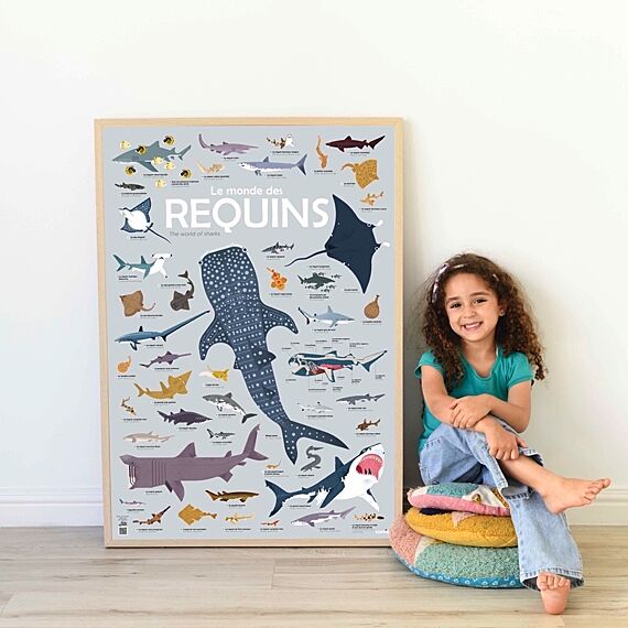 Educatieve Xxl Poster + 45 Stickers Sharks | 6-12 Jaar