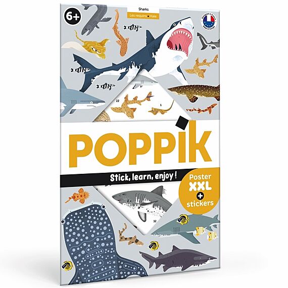 Educatieve Xxl Poster + 45 Stickers Sharks | 6-12 Jaar