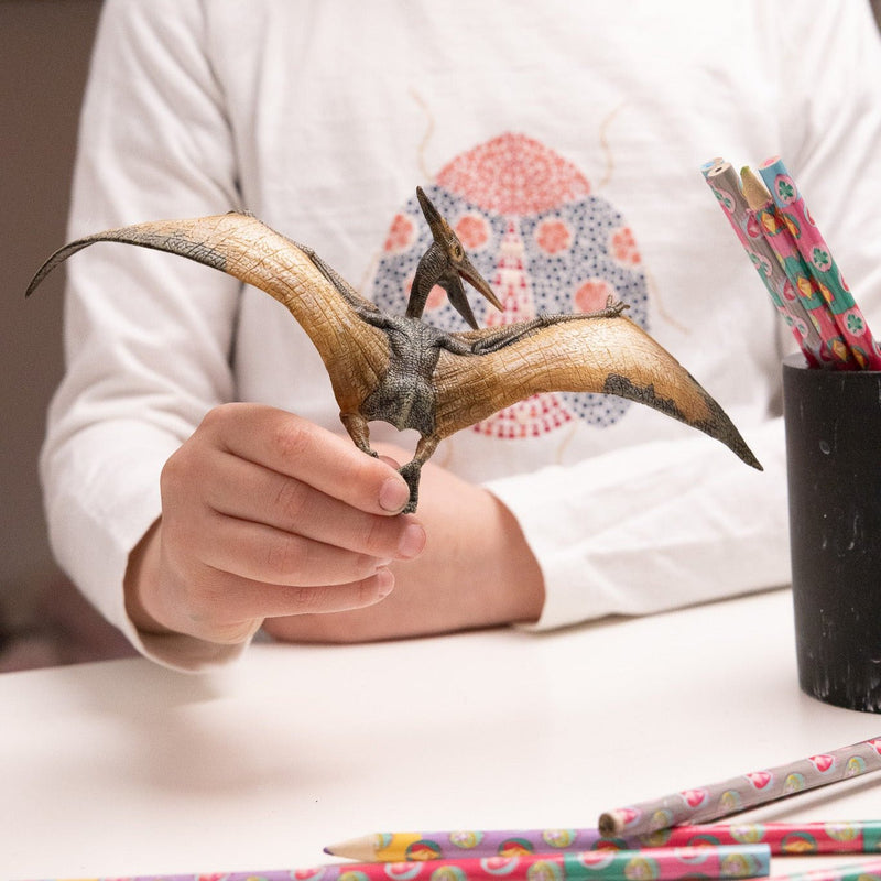 Pteranondon - Speeldieren Papo - In den Olifant