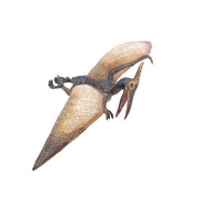 Pteranondon - Speeldieren Papo - In den Olifant