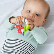 Rammelaar Kleppervos - Rammelaars Haba - In den Olifant