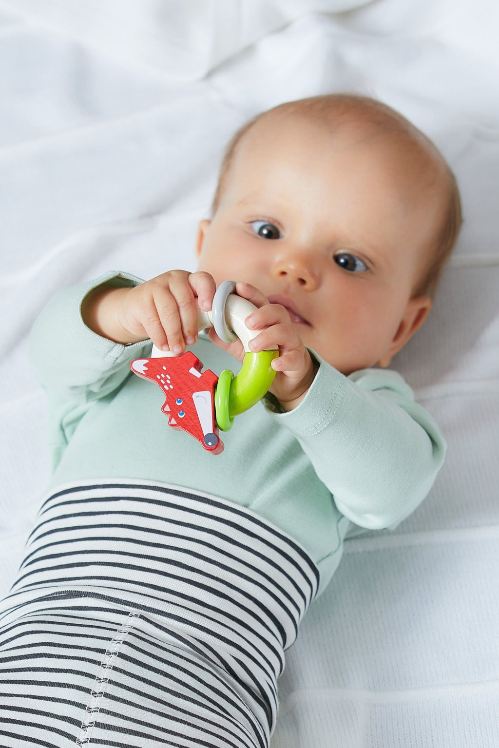 Rammelaar Kleppervos - Rammelaars Haba - In den Olifant