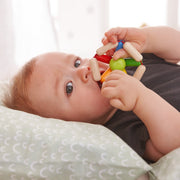 Rammelaar Kleurenrad - Rammelaars Haba - In den Olifant