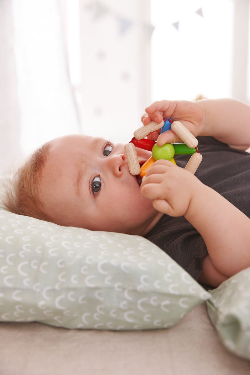 Rammelaar Kleurenrad - Rammelaars Haba - In den Olifant