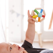 Rammelaar Kleurenrad - Rammelaars Haba - In den Olifant