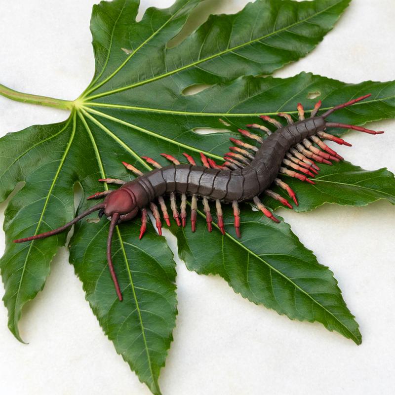 Realistic centipede toy - Speeldieren REX London - In den Olifant