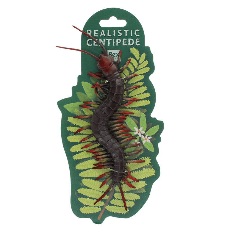 Realistic centipede toy - Speeldieren REX London - In den Olifant