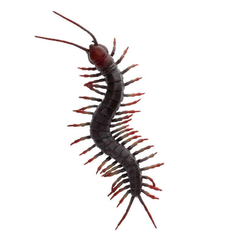 Realistic centipede toy - Speeldieren REX London - In den Olifant