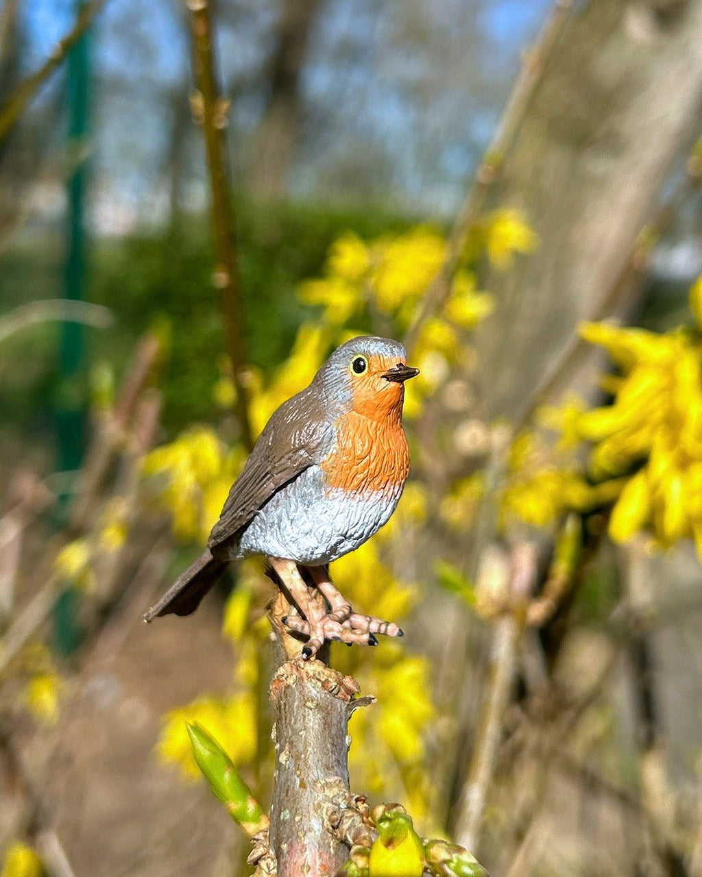 Roodborstje - Speeldieren Papo - In den Olifant