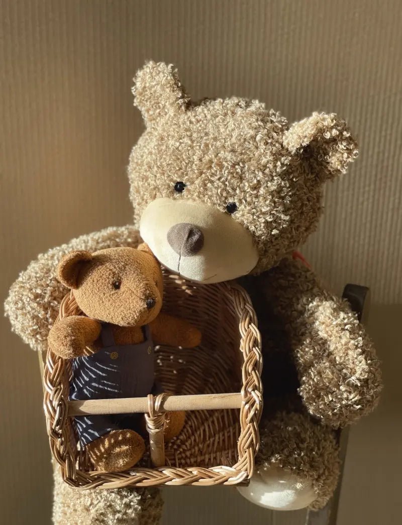 Rotan fietsstoeltje voor je pop - Fietsaccessoires Egmont Toys - In den Olifant