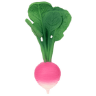 Rubberen Bijtspeeltje - Ramona The Radish - Bijtspeelgoed Oli&Carol - In den Olifant