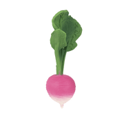 Rubberen Bijtspeeltje - Ramona The Radish - Bijtspeelgoed Oli&Carol - In den Olifant