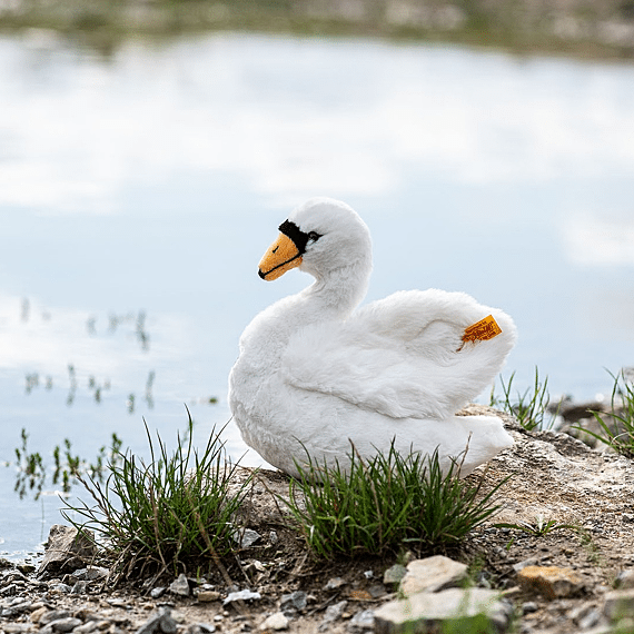 Knuffel Zwaan Teddies For Tomorrow Schana Swan White - 20 Cm