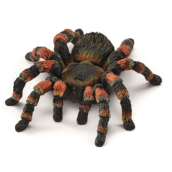 Tarantula Vogelspin