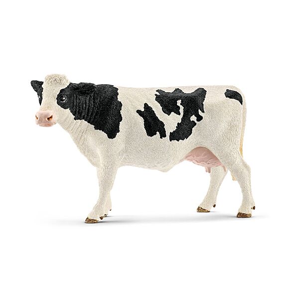 Zwartbonte Holstein Koe